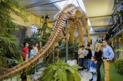 sauriermuseum-aathal-brachiosaurier