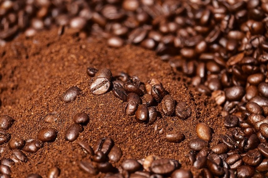 Kaffeesatz im Garten: Was der natürliche Dünger alles kann
