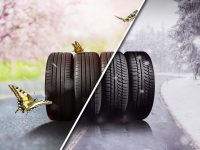Pneu / Reifen online kaufen in der Schweiz: Die besten Tipps für einen günstigen & reibungslosen Reifenwechsel