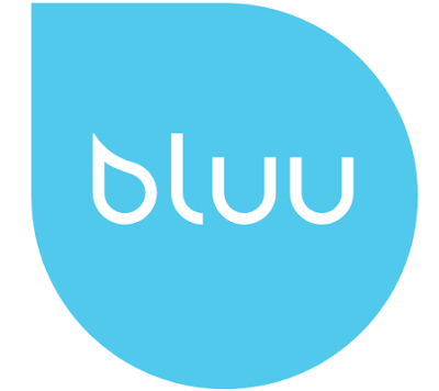 bluuwash.com